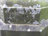 image of grave number 175332